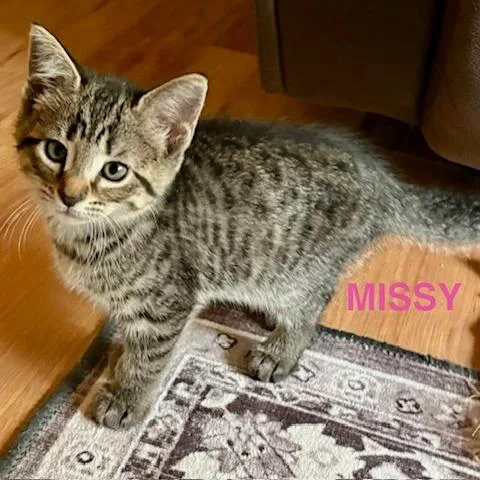 Missy