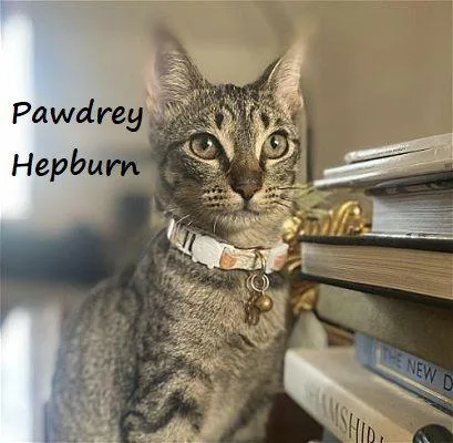 Pawdrey Hepburn Spunkynsweet