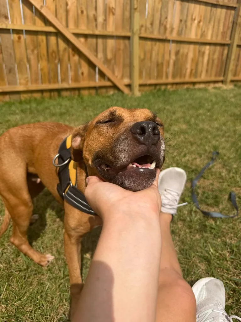Missy thumbnail 2