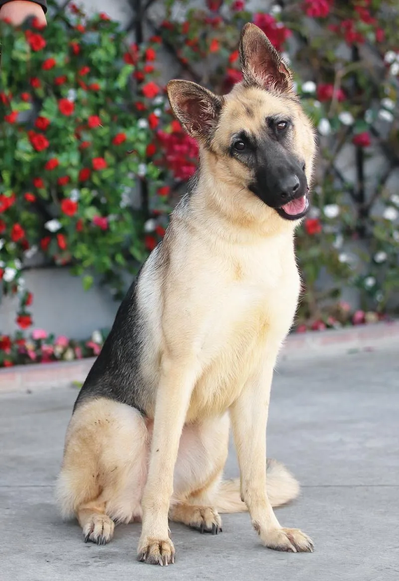 Lucy Von Lunden thumbnail 2