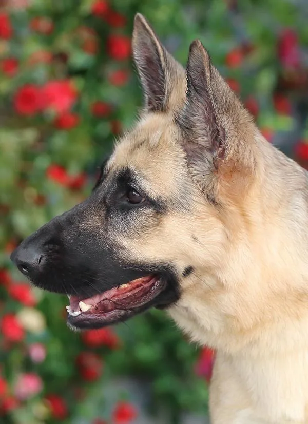 Lucy Von Lunden thumbnail 3