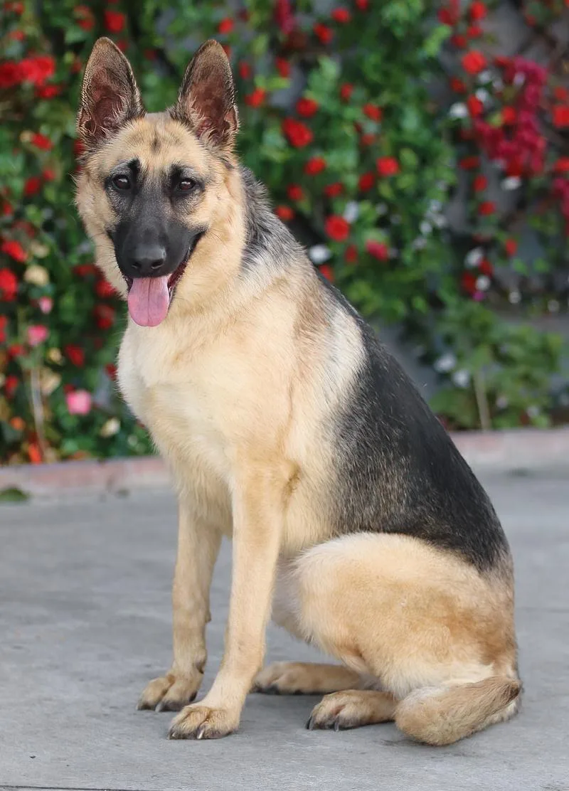 Lucy Von Lunden thumbnail 4