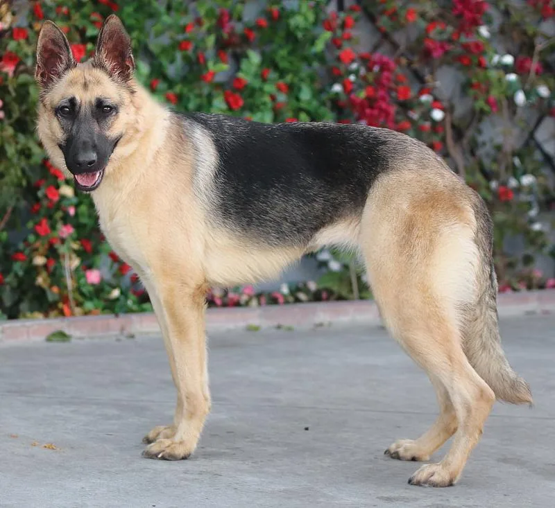 Lucy Von Lunden thumbnail 5