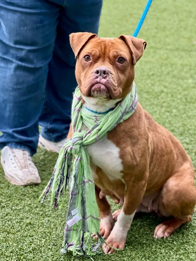 Meredith thumbnail 3