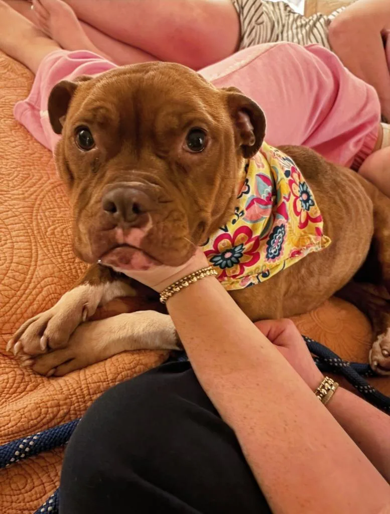 Meredith thumbnail 6