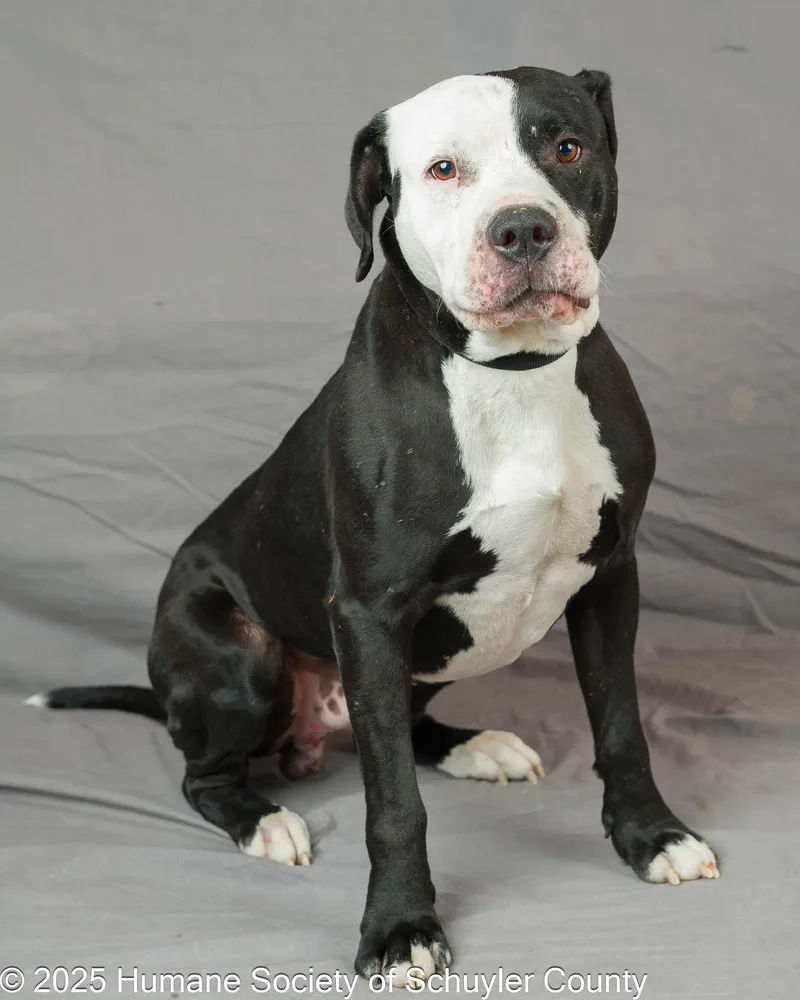 Mr. Magoo thumbnail 3