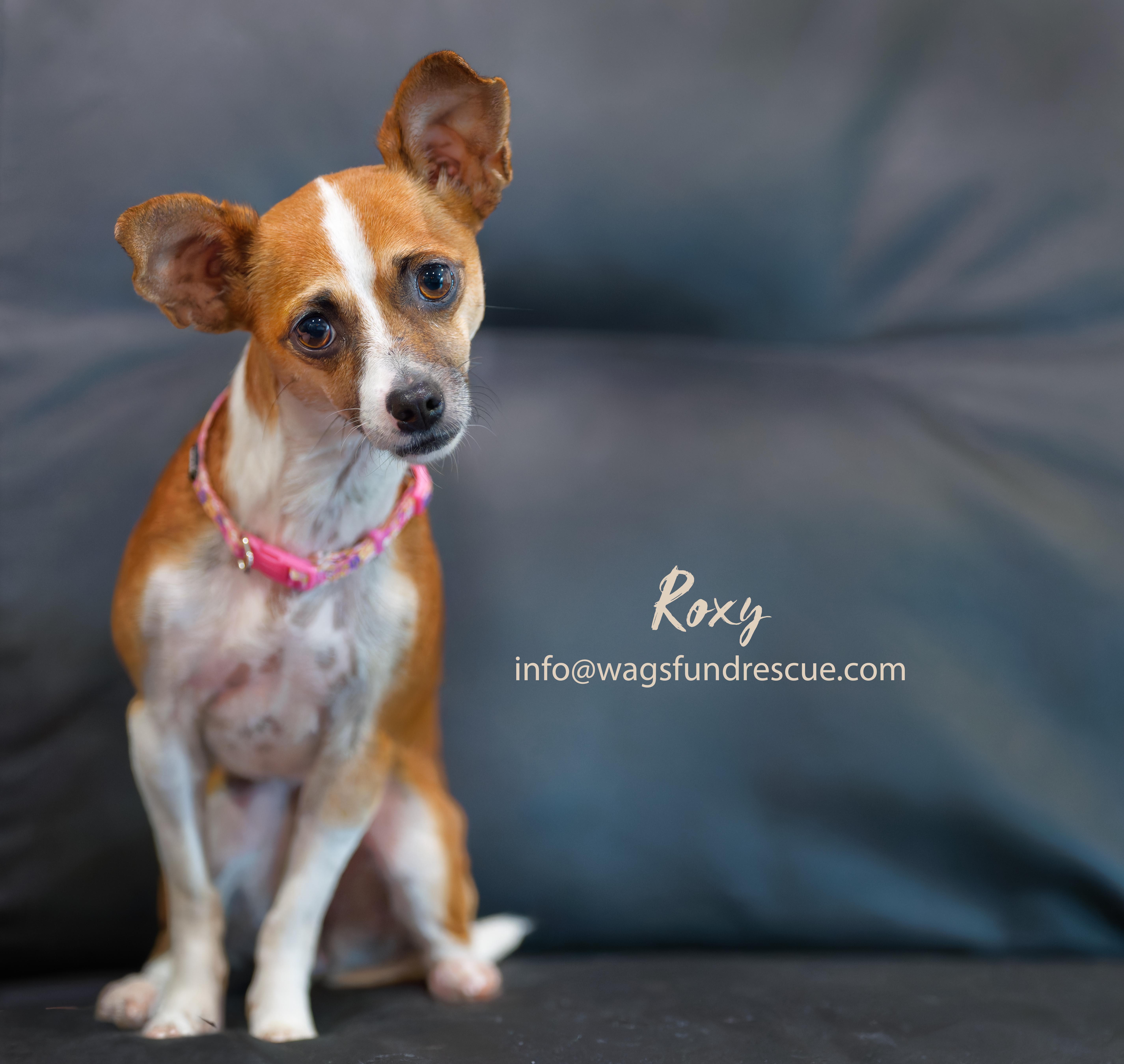 Roxy thumbnail 2
