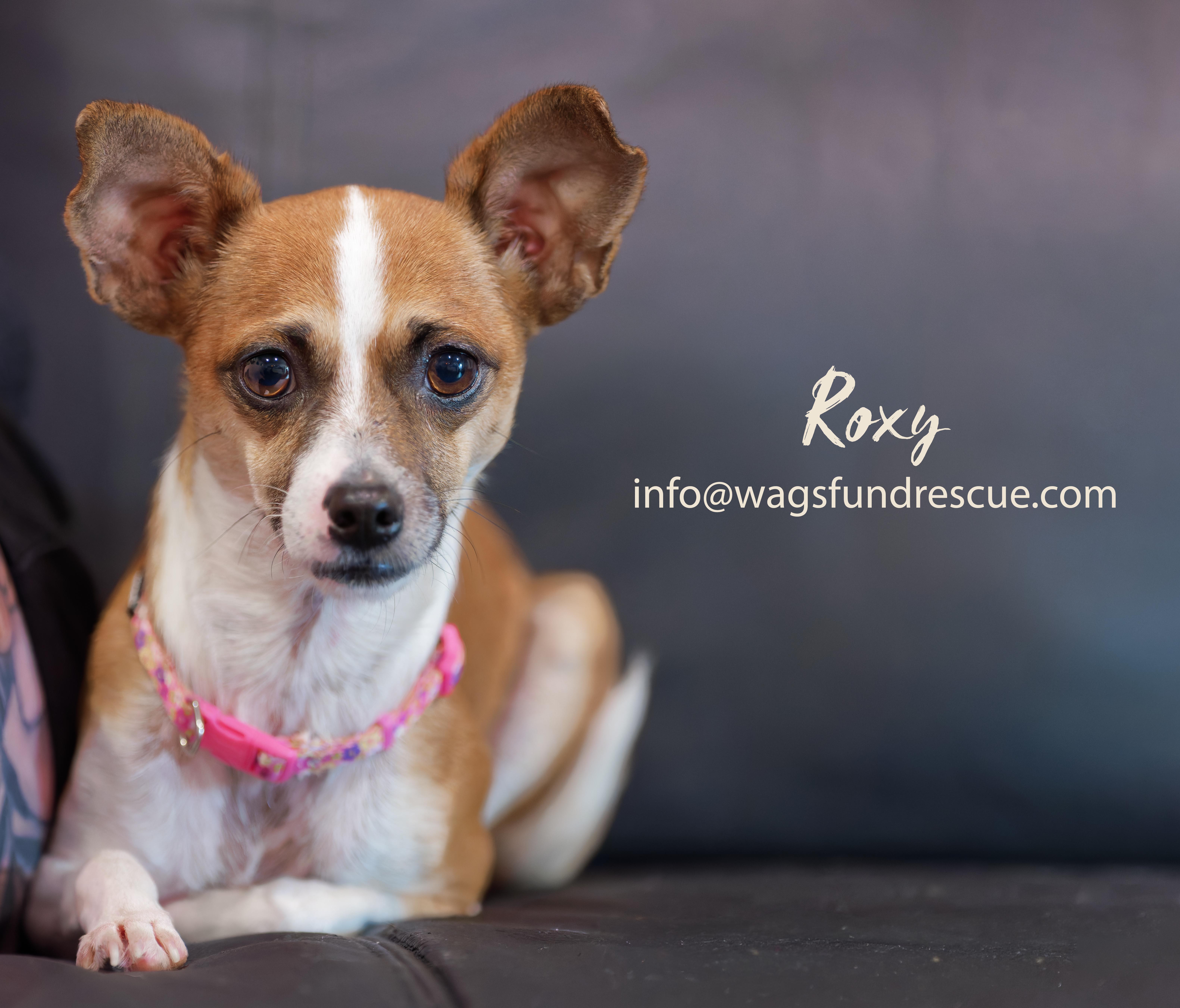 Roxy thumbnail 3