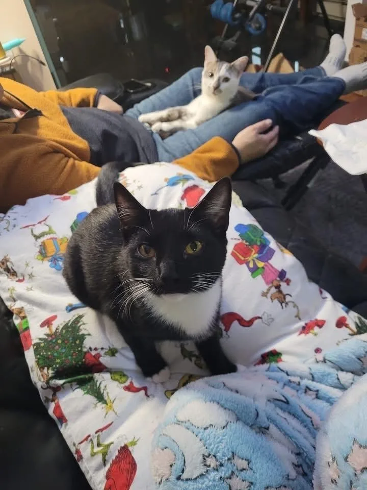 Tiki Aka Tic Tac thumbnail 4