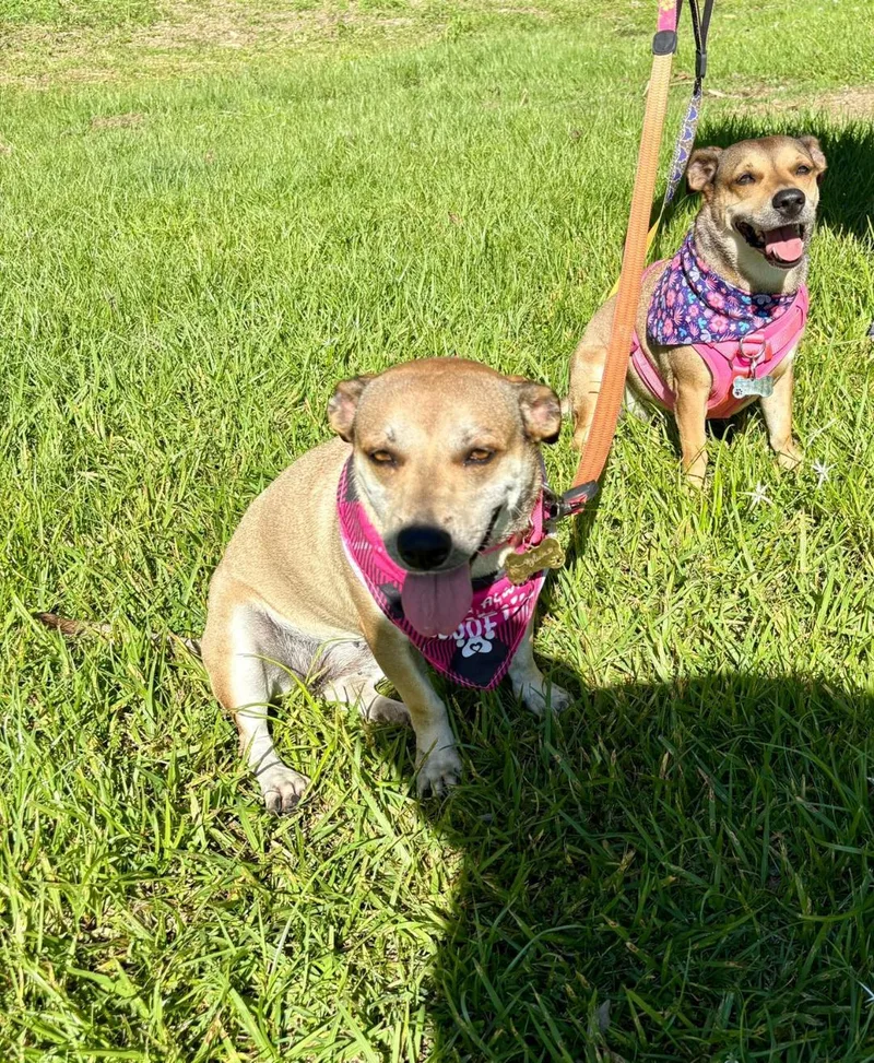 Nala And Kylei thumbnail 2