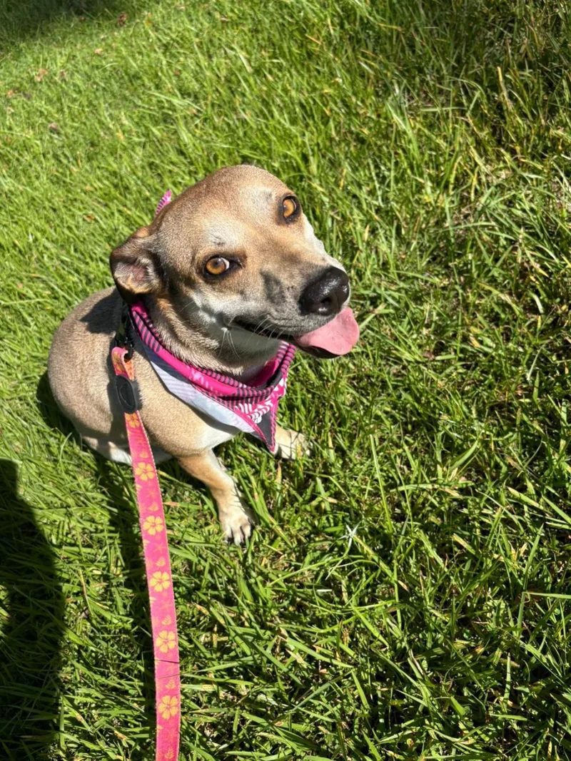 Nala And Kylei thumbnail 3