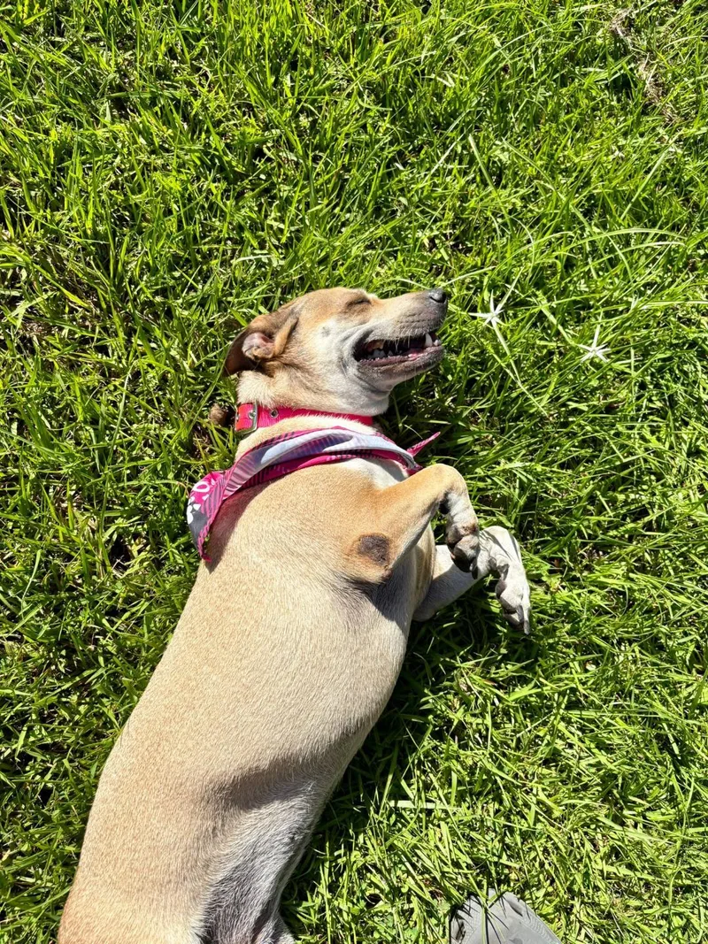 Nala And Kylei thumbnail 4