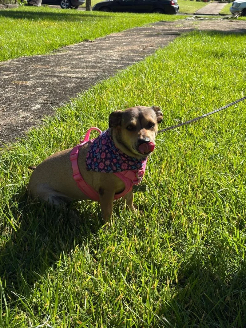 Nala And Kylei thumbnail 5