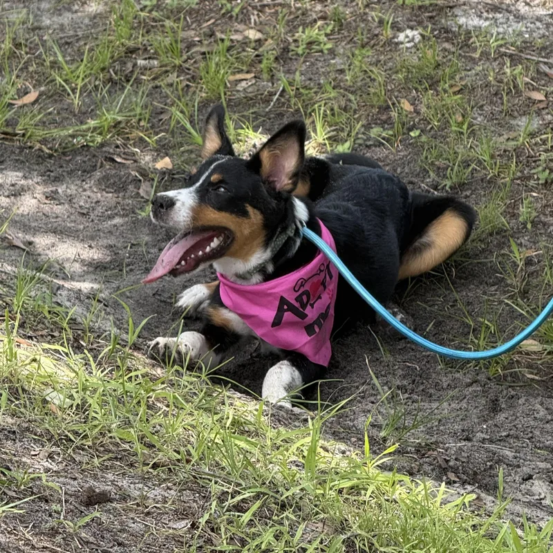 Zoe