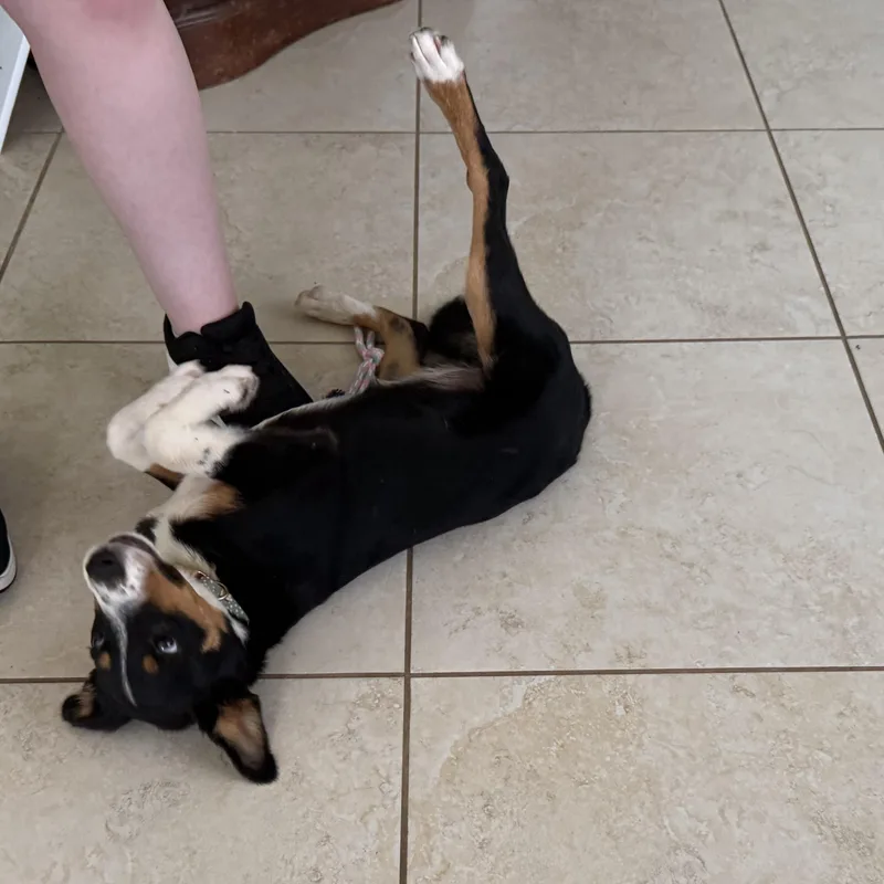Zoe thumbnail 2