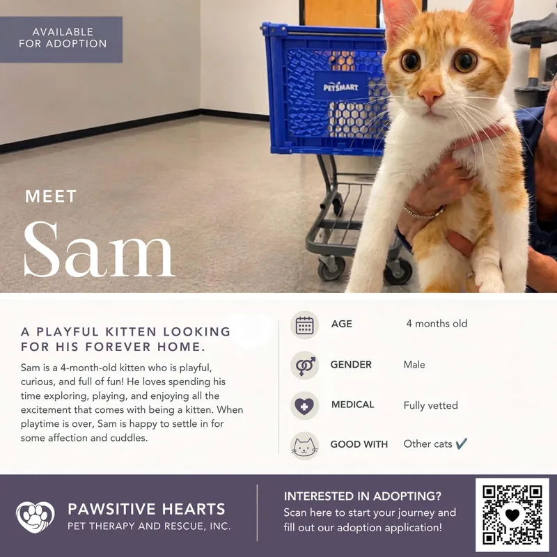 Sam and Eddie thumbnail 2