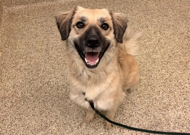 Rosie