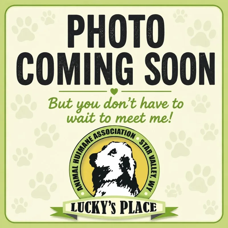 Zenno