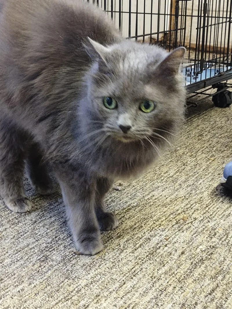 Patrick  Meet Me thumbnail 2