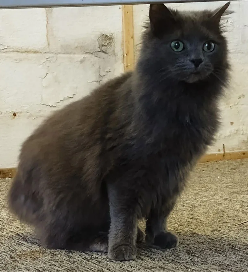 Patrick  Meet Me thumbnail 3