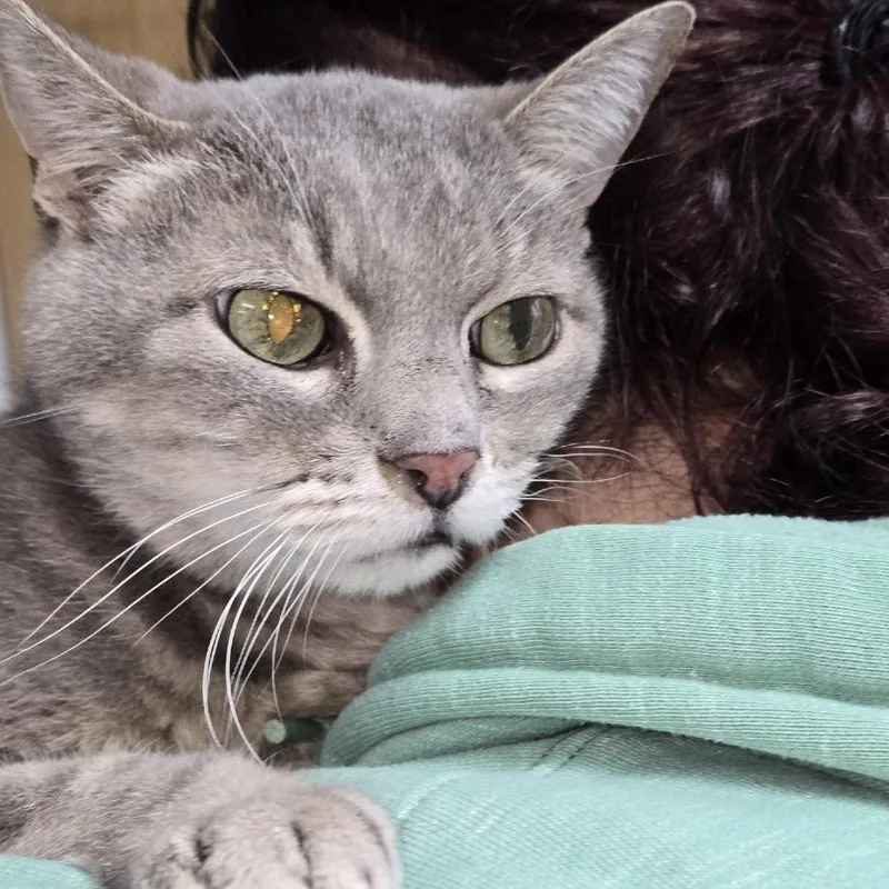 Penelope thumbnail 2