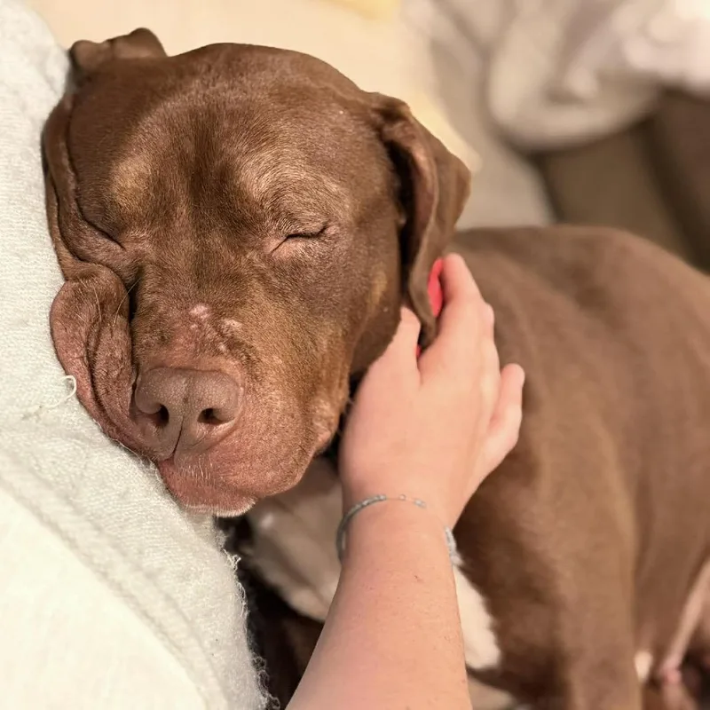 Cait thumbnail 6