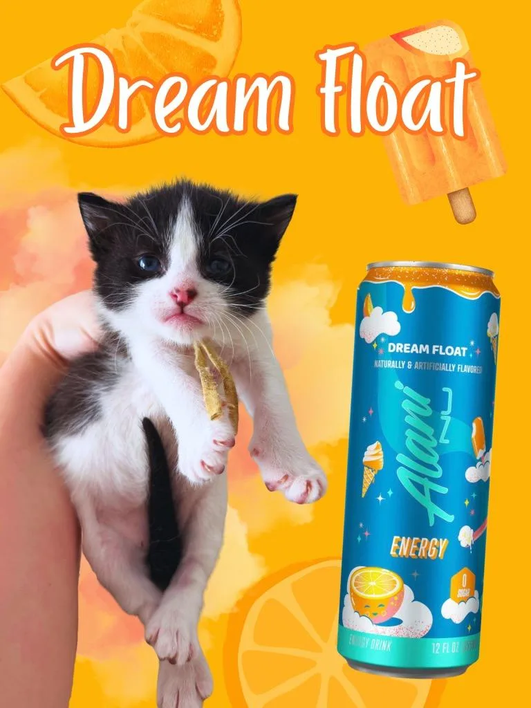 Dream Float thumbnail 2