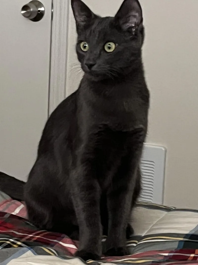 Harry & Sally thumbnail 2