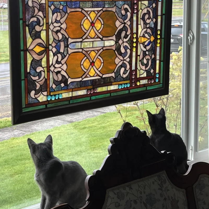 Harry & Sally thumbnail 3