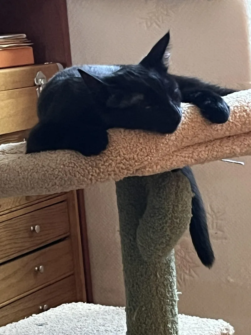 Harry & Sally thumbnail 4