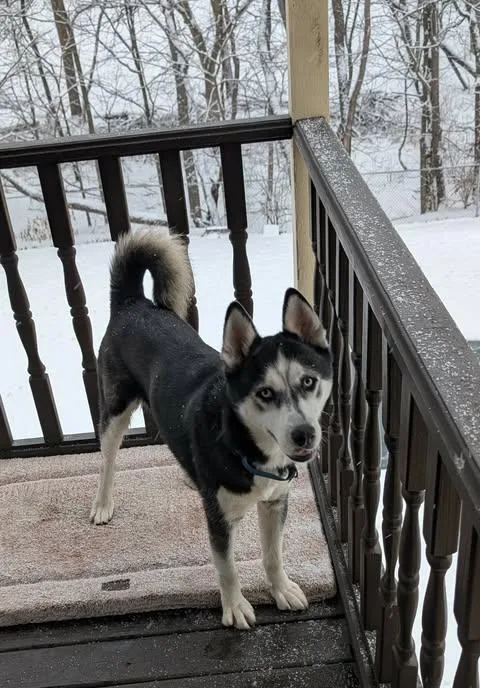 Maverick thumbnail 3