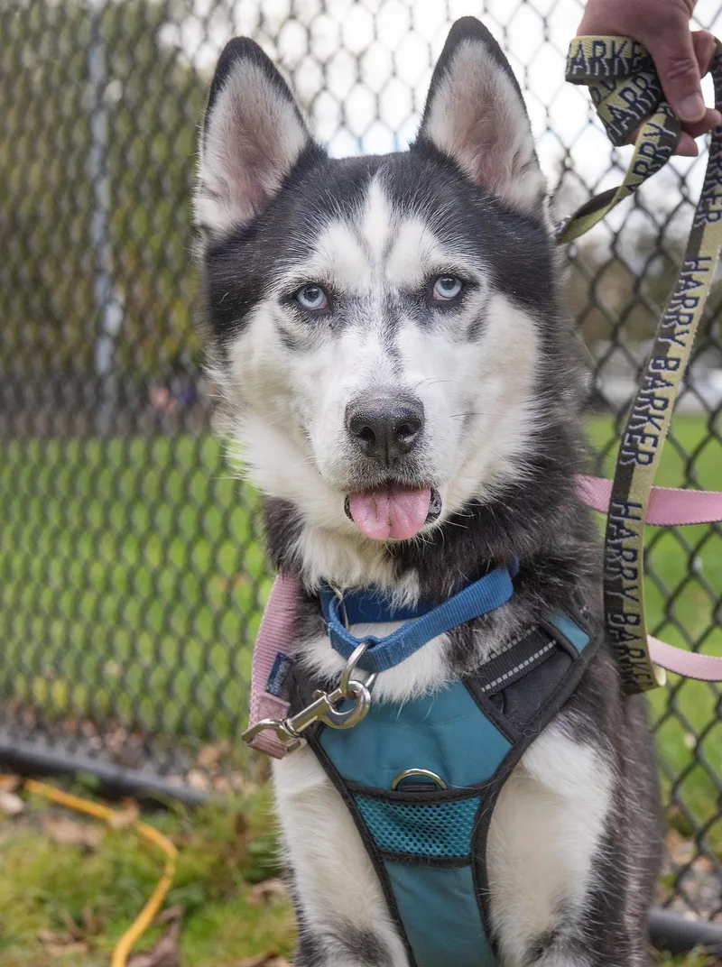 Maverick thumbnail 6