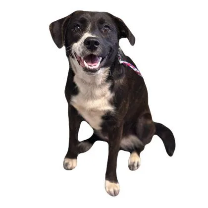 Edna