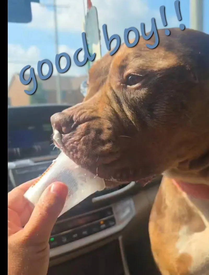 Moore thumbnail 4