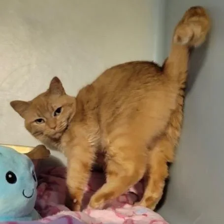 Solstice thumbnail 2