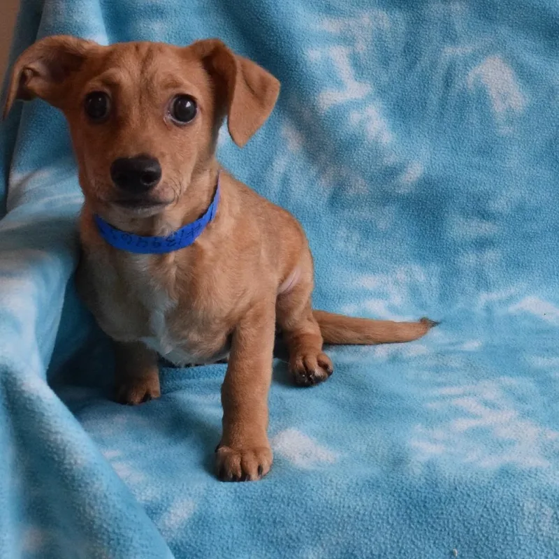 Sonny thumbnail 2
