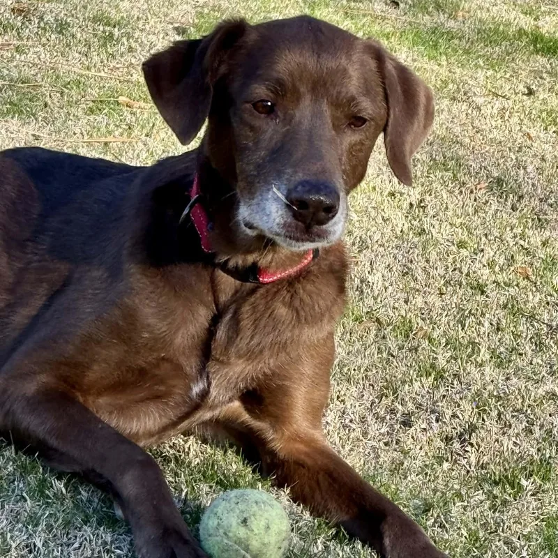 Lady Lab thumbnail 6