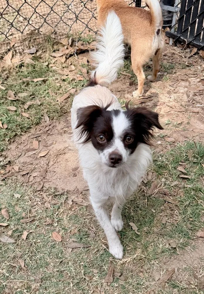 Lilo