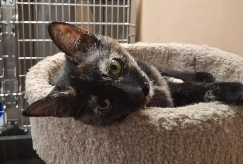 Madeline thumbnail 4