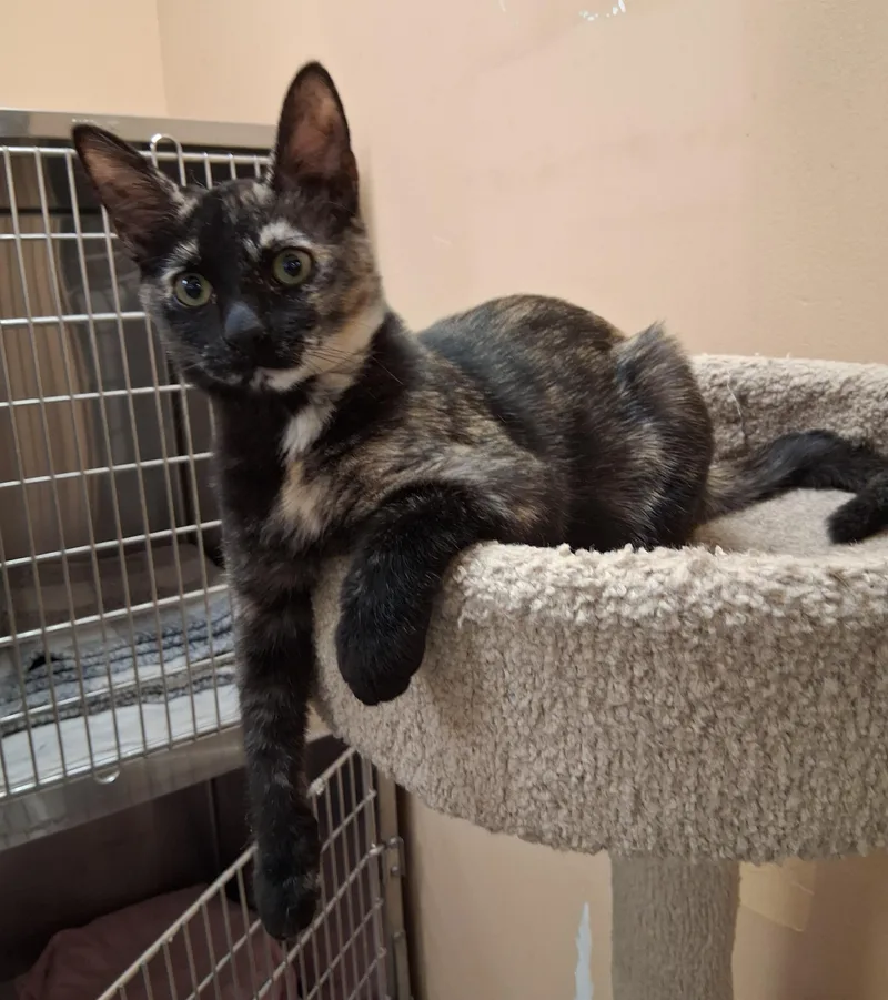 Madeline thumbnail 5