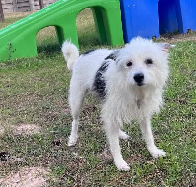 Flora Mae In Tx thumbnail 2