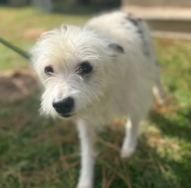 Flora Mae In Tx thumbnail 3