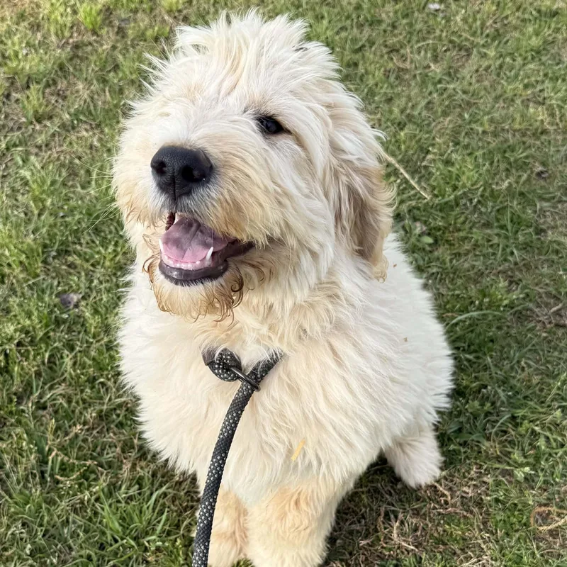 Marianne  Home Visit