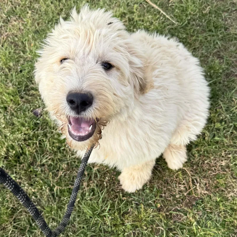 Marianne  Home Visit thumbnail 2