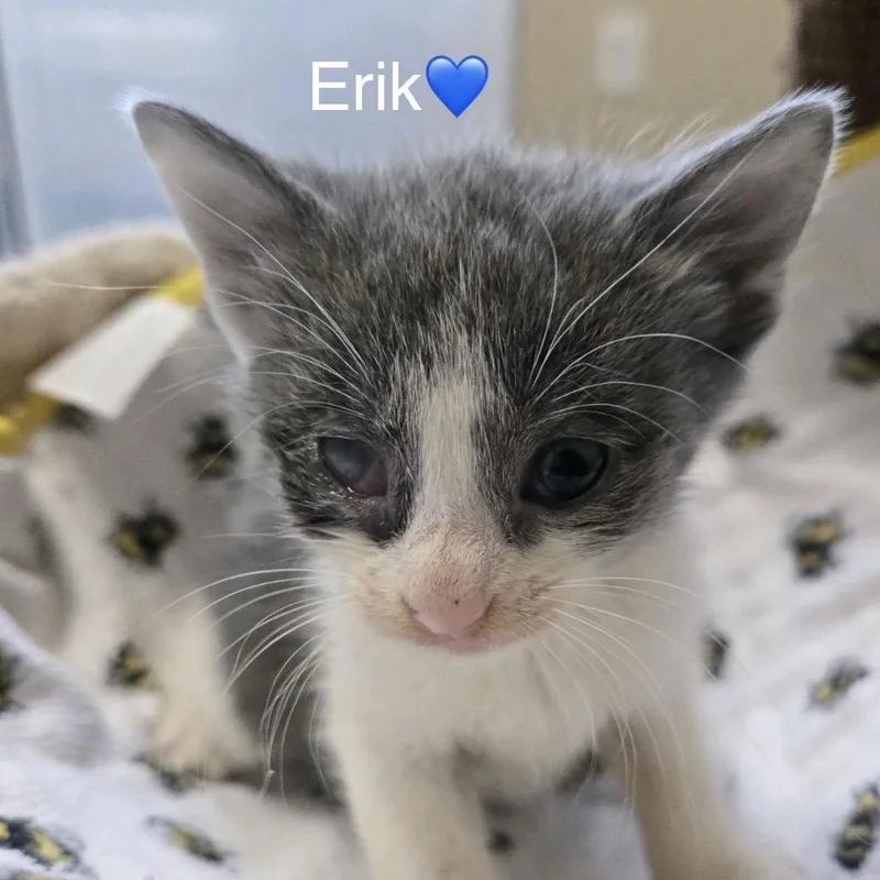 Erik thumbnail 2