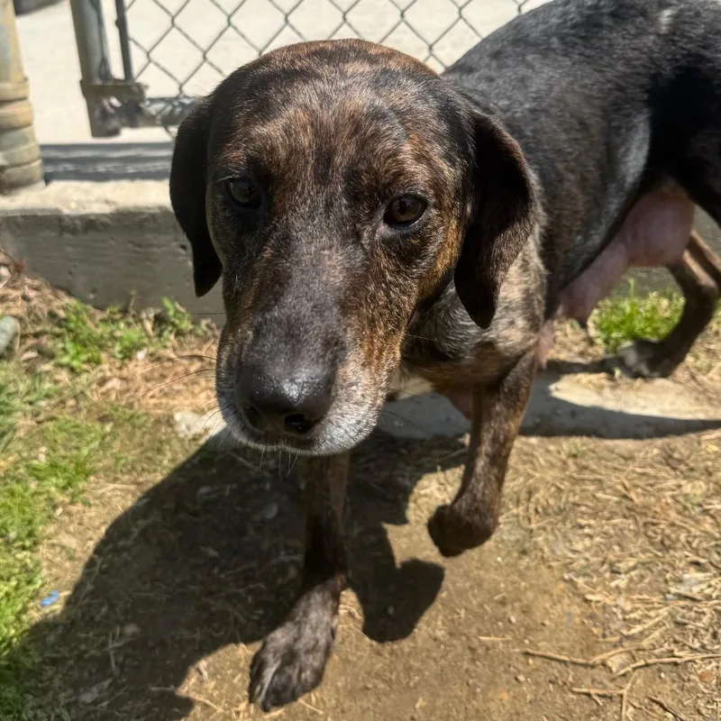 Smurfette thumbnail 2