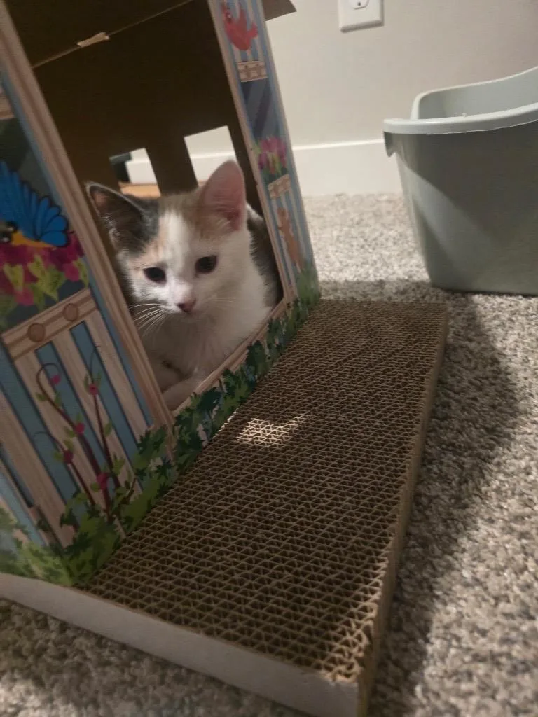 Momma And Tiny thumbnail 2