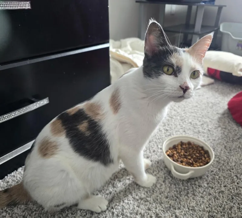 Momma And Tiny thumbnail 3