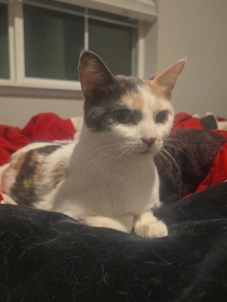 Momma And Tiny thumbnail 5