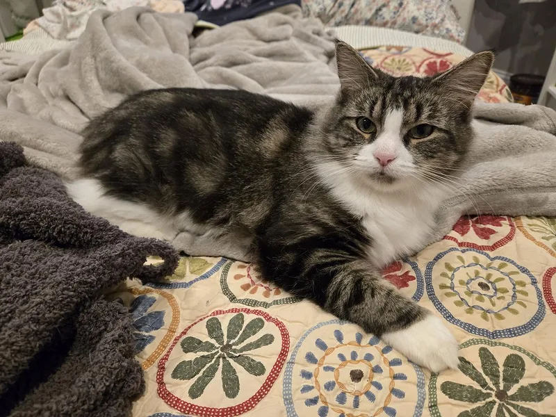 Layla Larchwood thumbnail 3